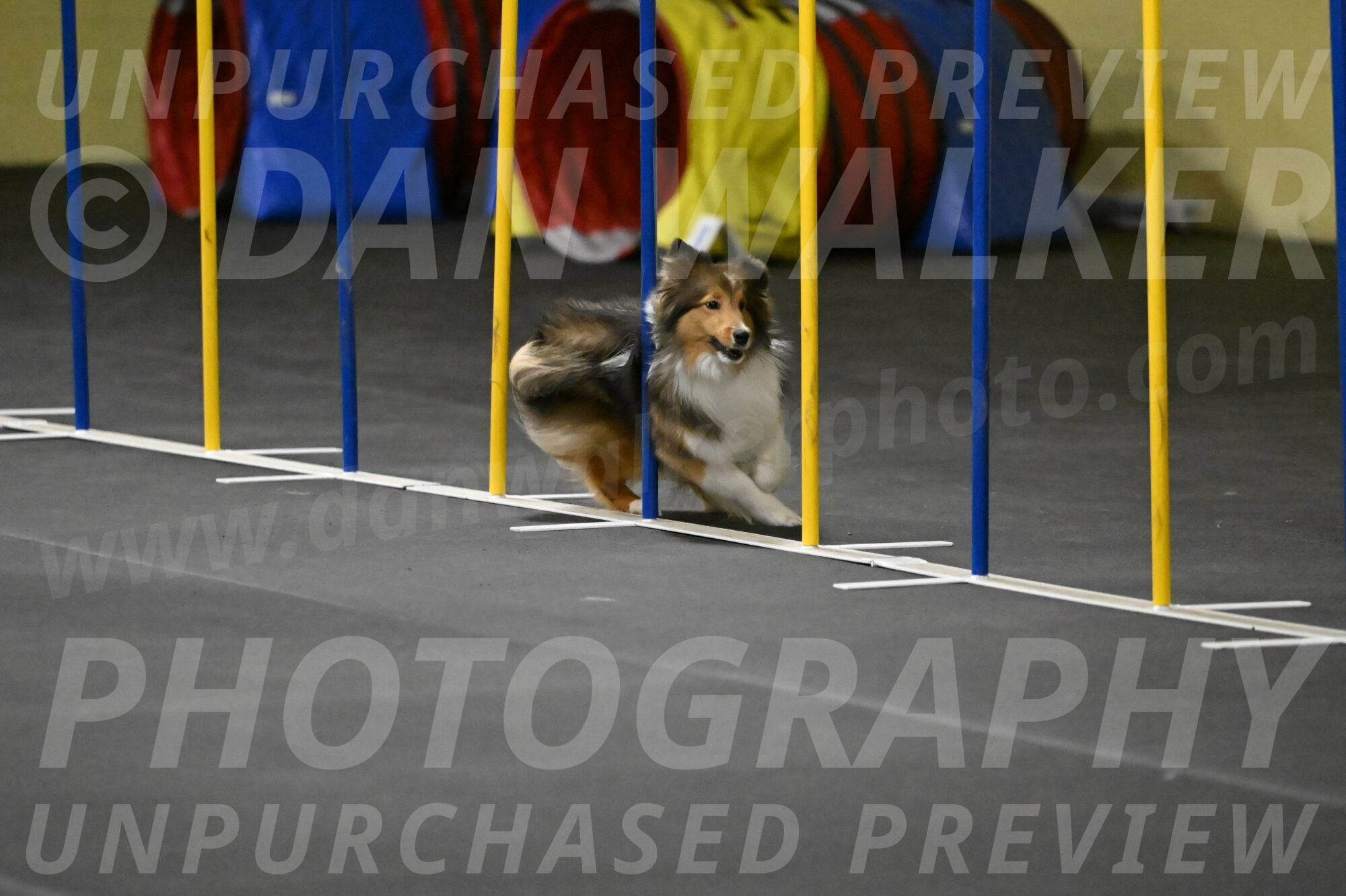 Aurora-Stachurski-02925