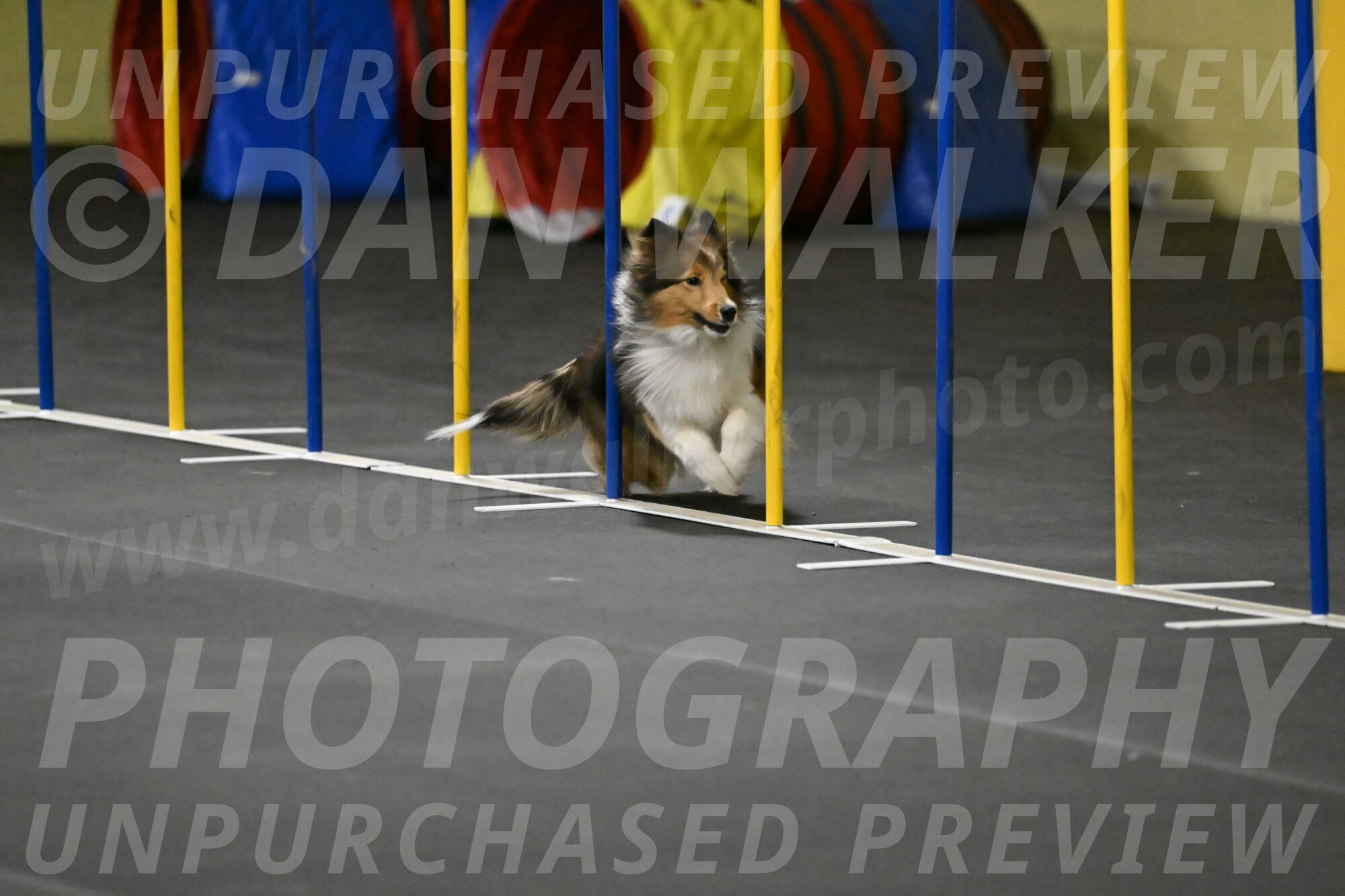 Aurora-Stachurski-02926