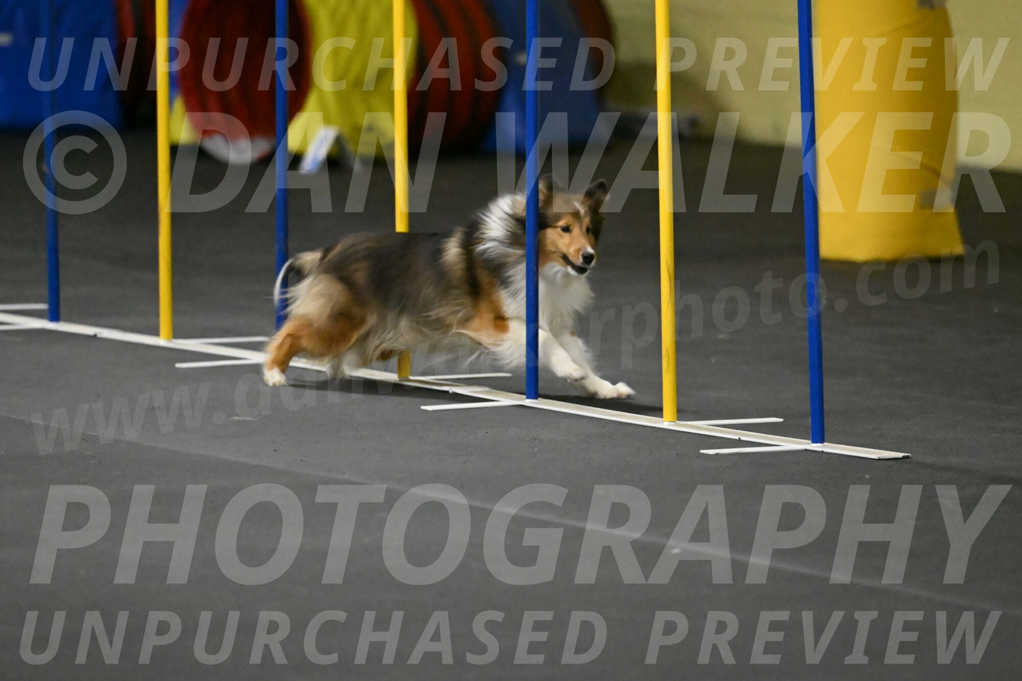 Aurora-Stachurski-02930