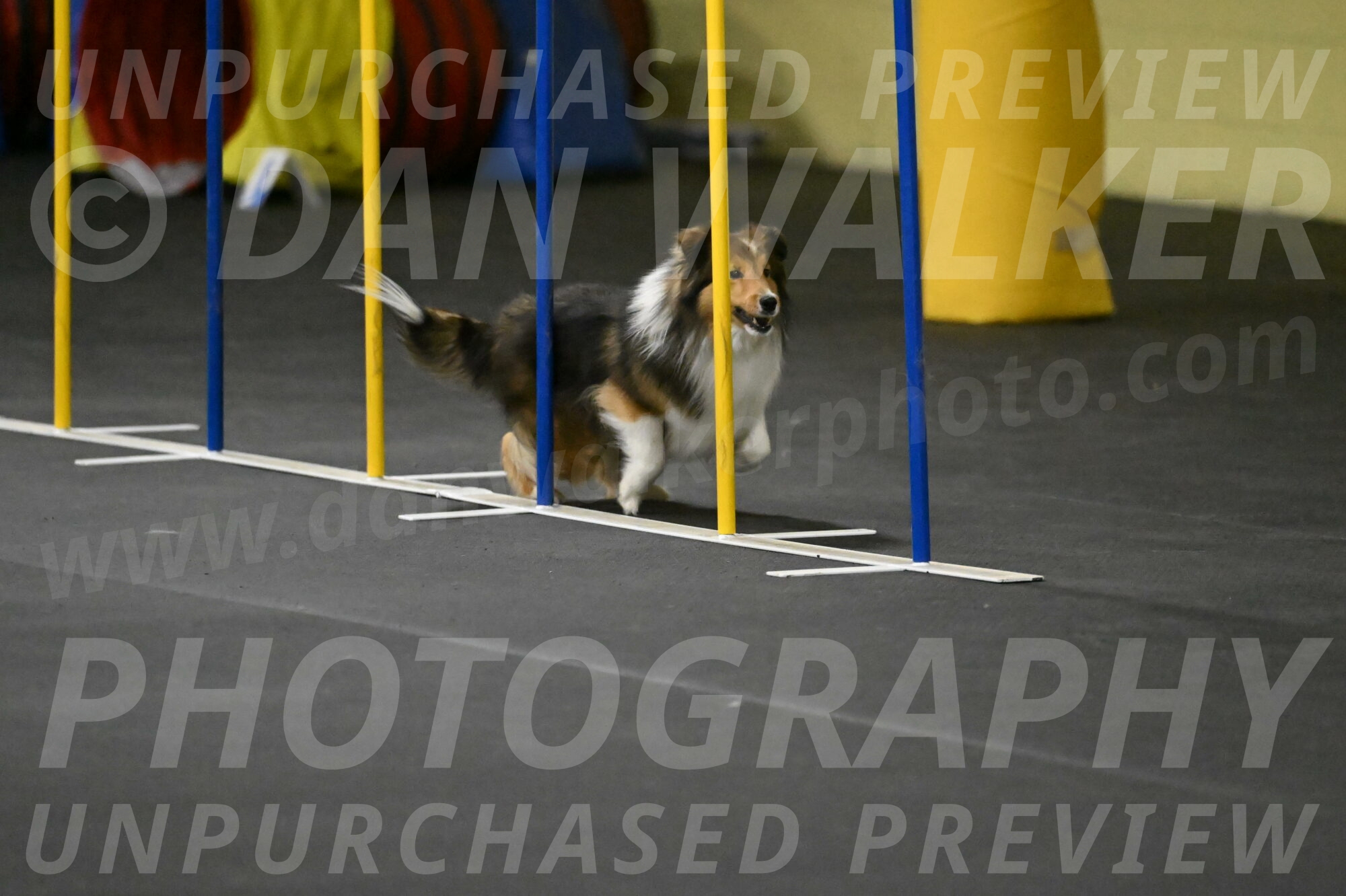 Aurora-Stachurski-02932