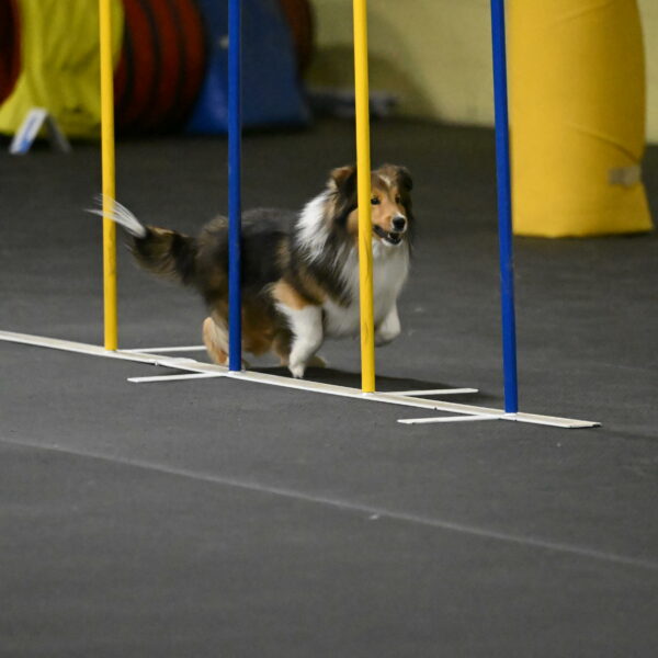 Aurora-Stachurski-02932