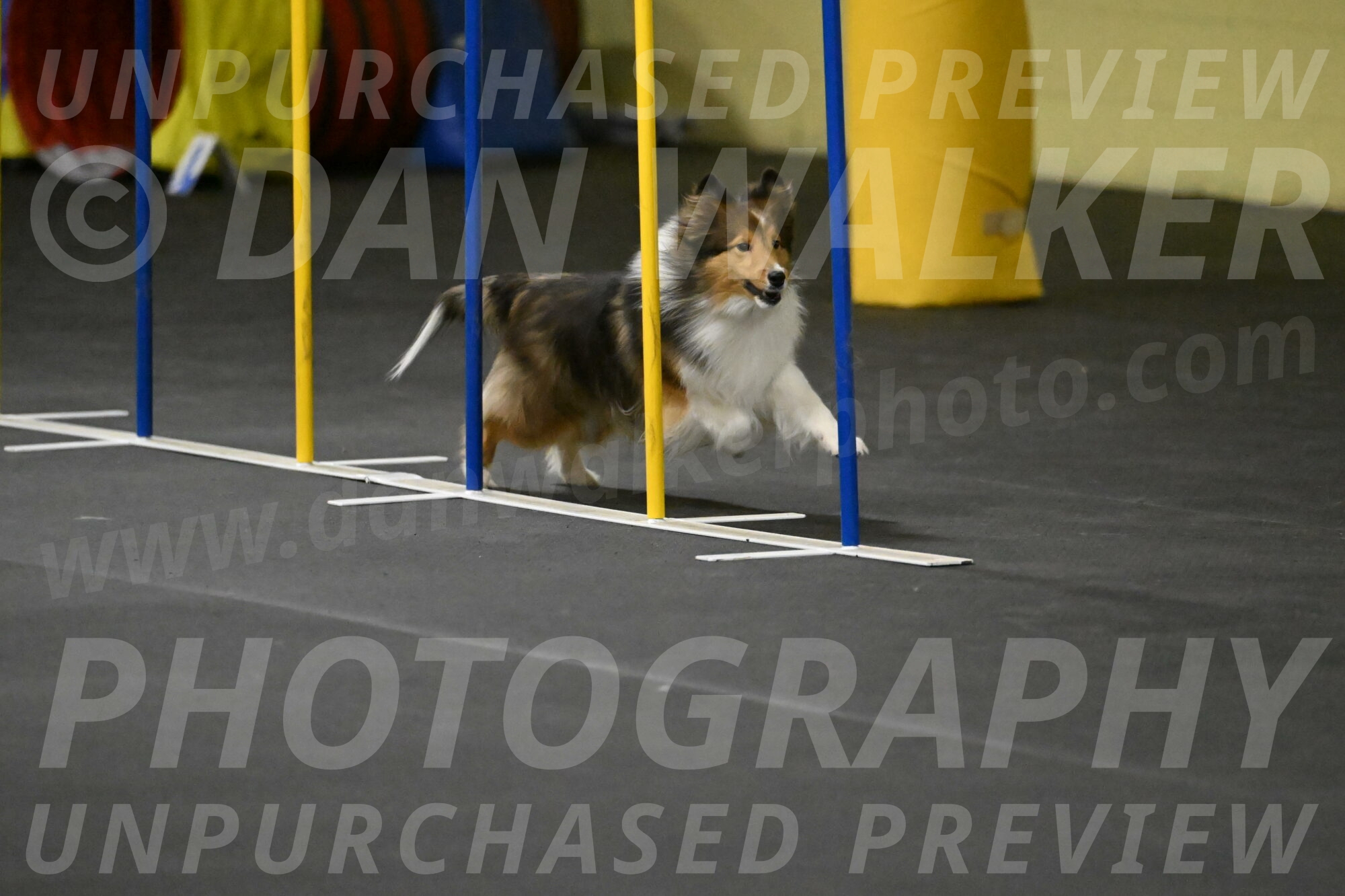 Aurora-Stachurski-02933