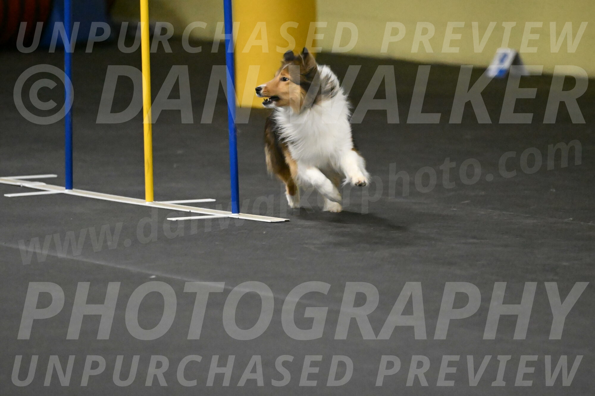 Aurora-Stachurski-02937