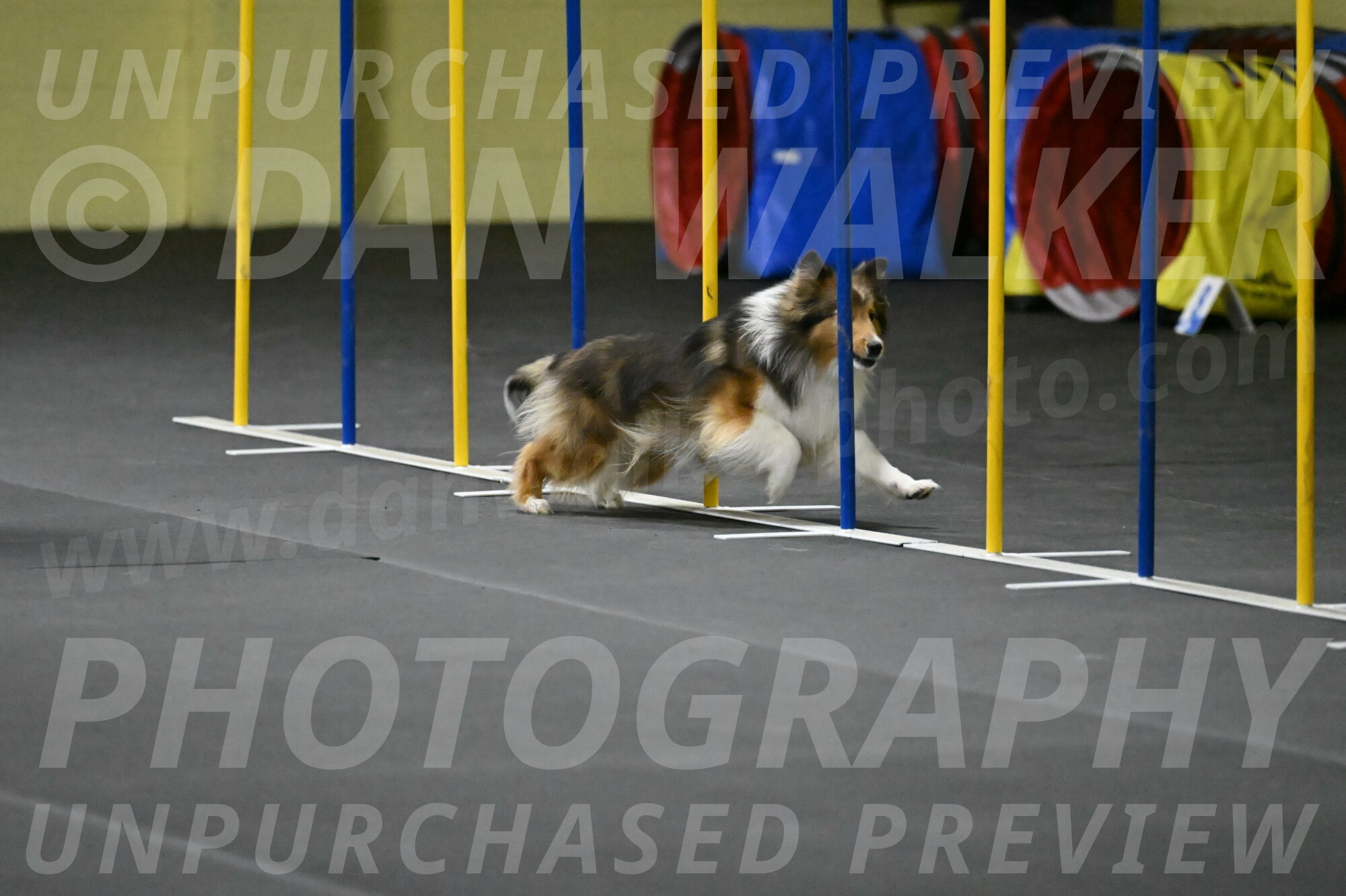 Aurora-Stachurski-02943