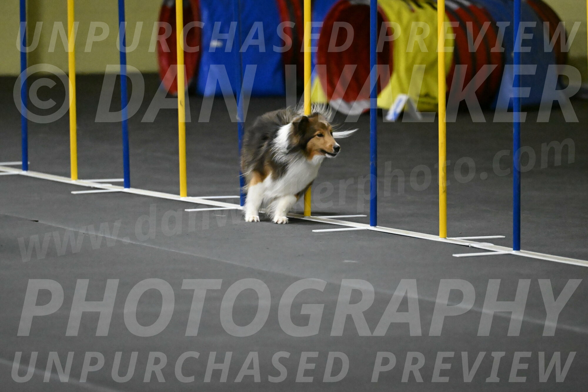 Aurora-Stachurski-02947