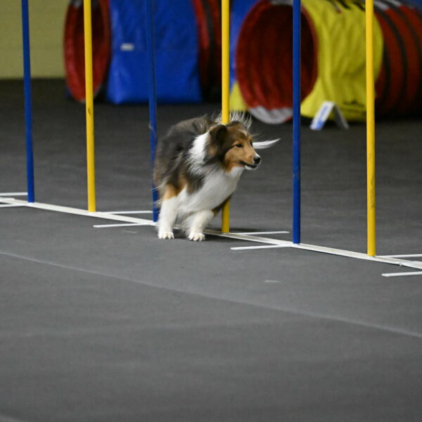 Aurora-Stachurski-02947