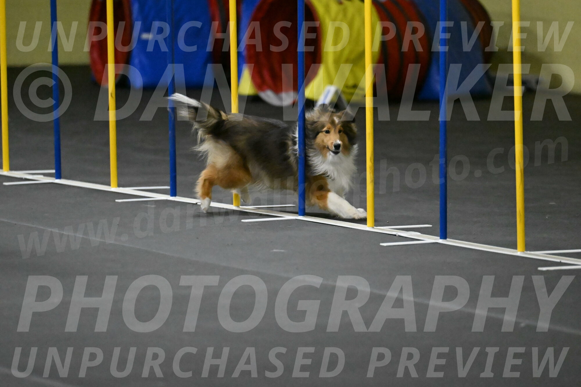 Aurora-Stachurski-02950