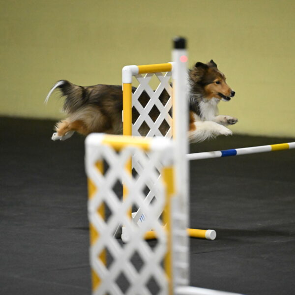 Aurora-Stachurski-02960