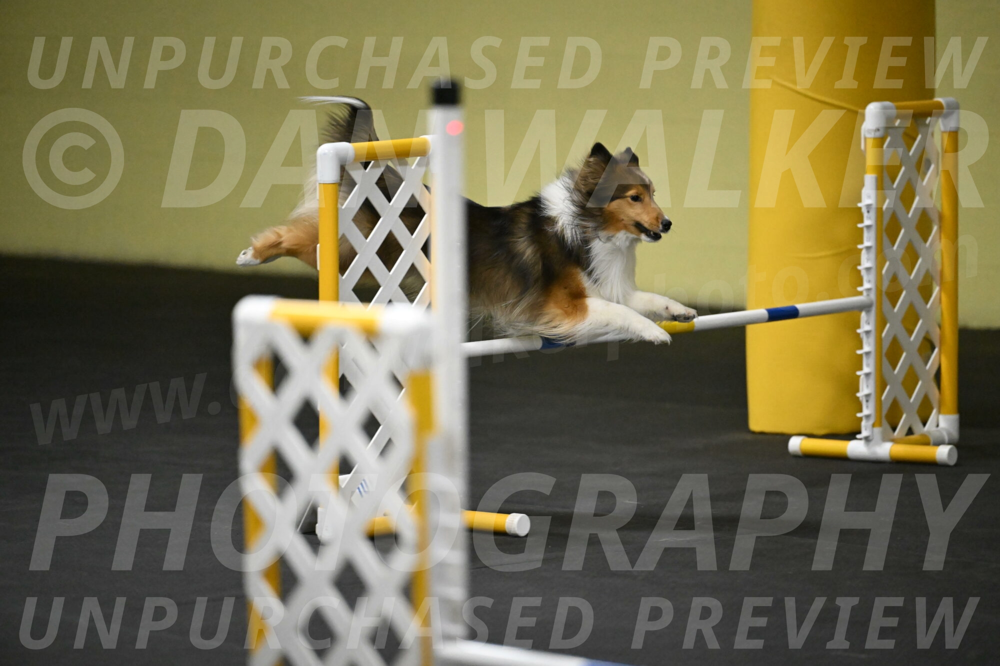 Aurora-Stachurski-02961