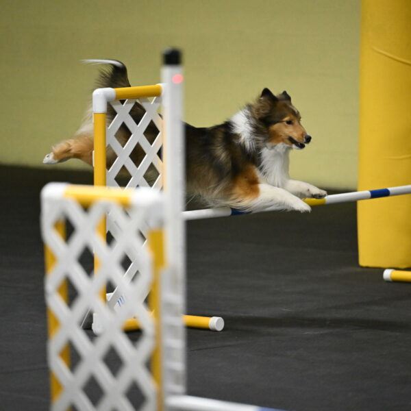 Aurora-Stachurski-02961