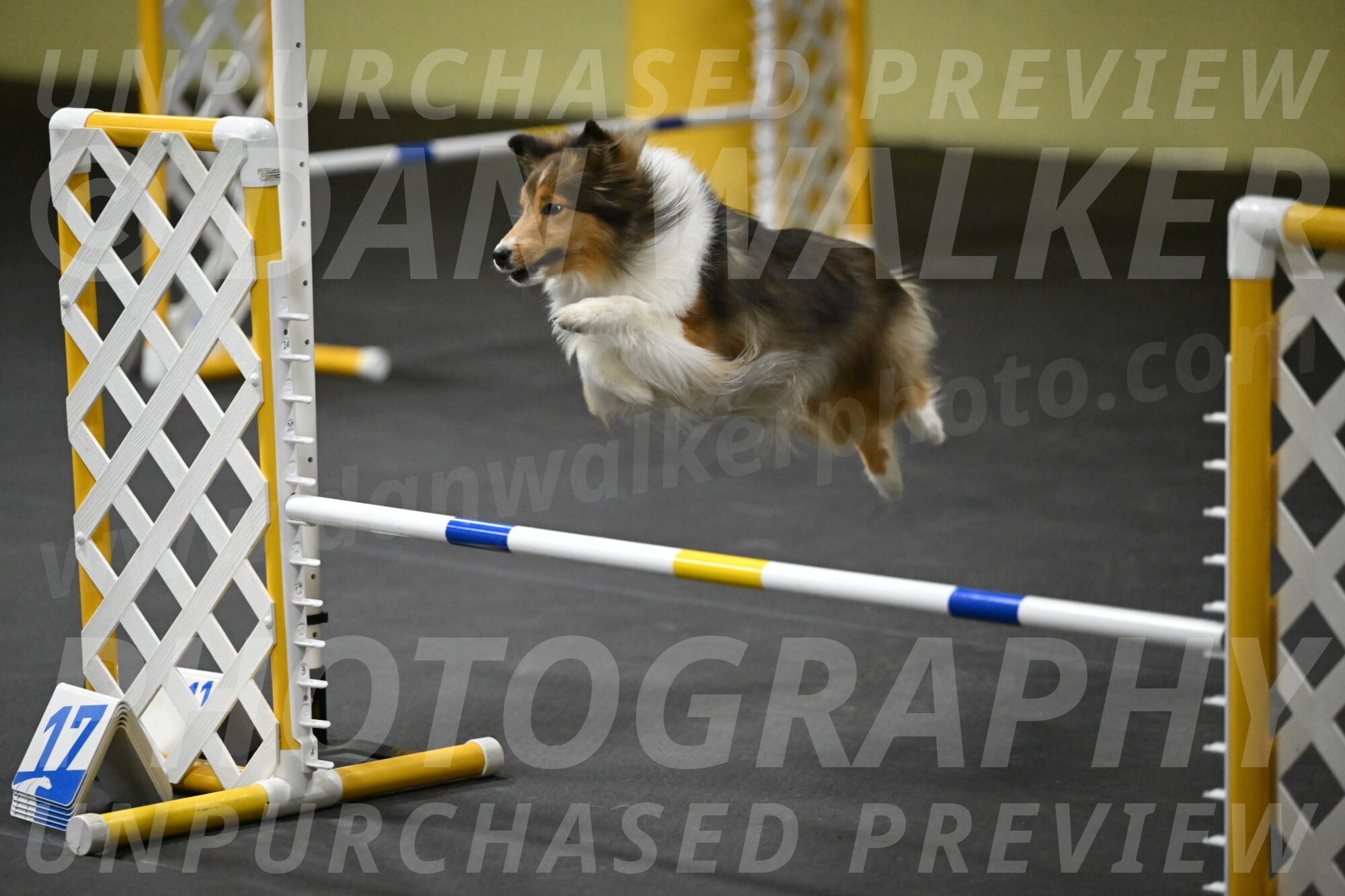 Aurora-Stachurski-02965