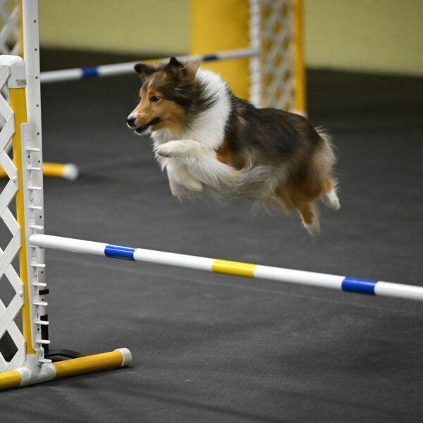 Aurora-Stachurski-02965