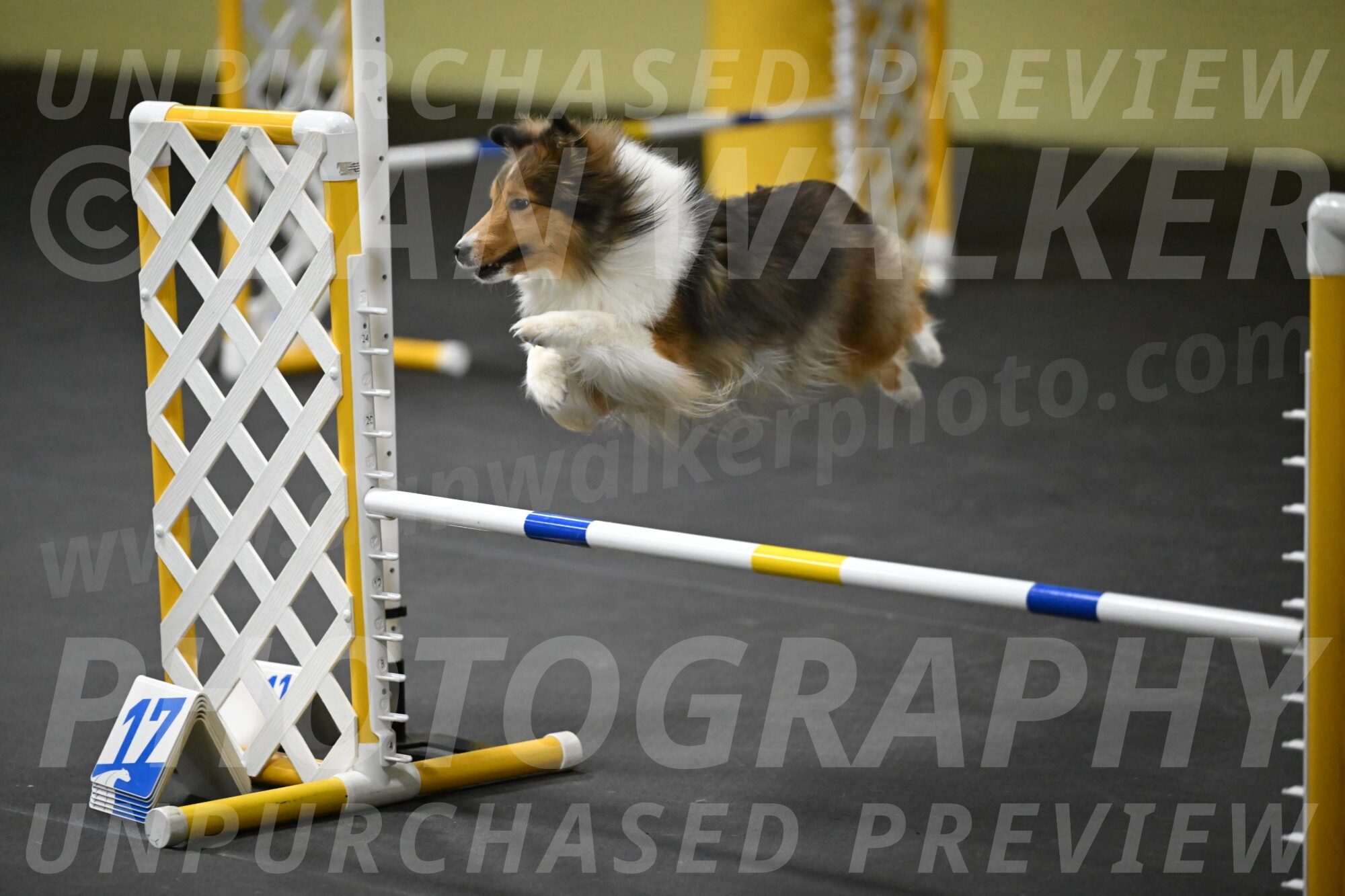 Aurora-Stachurski-02966