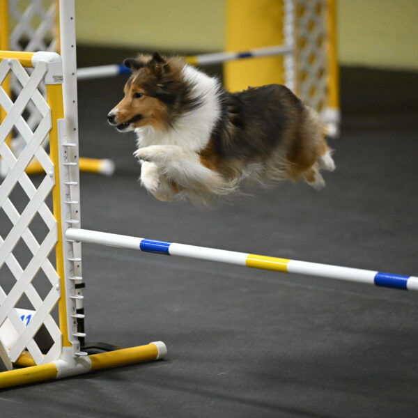 Aurora-Stachurski-02966