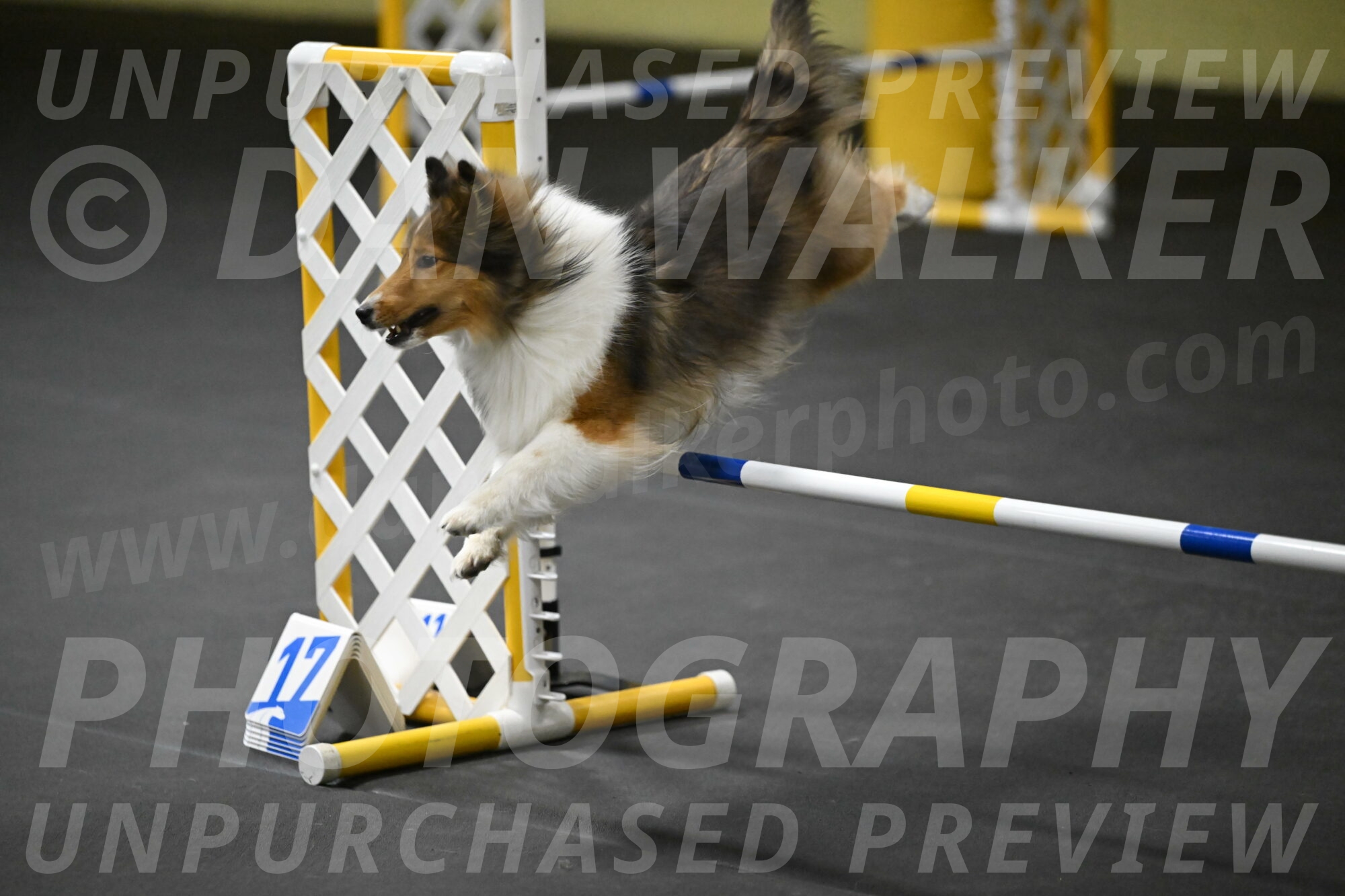 Aurora-Stachurski-02968