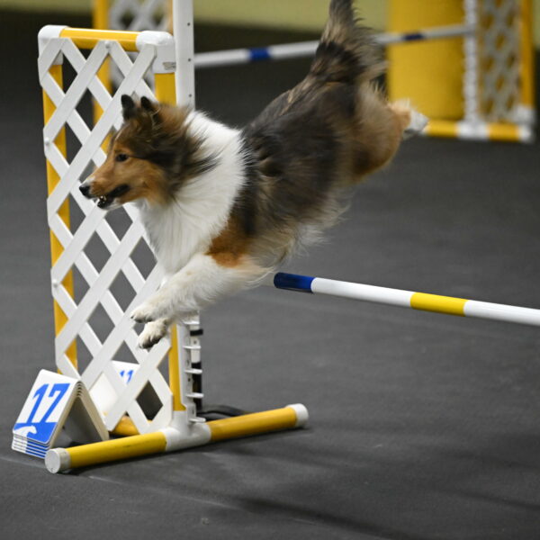 Aurora-Stachurski-02968