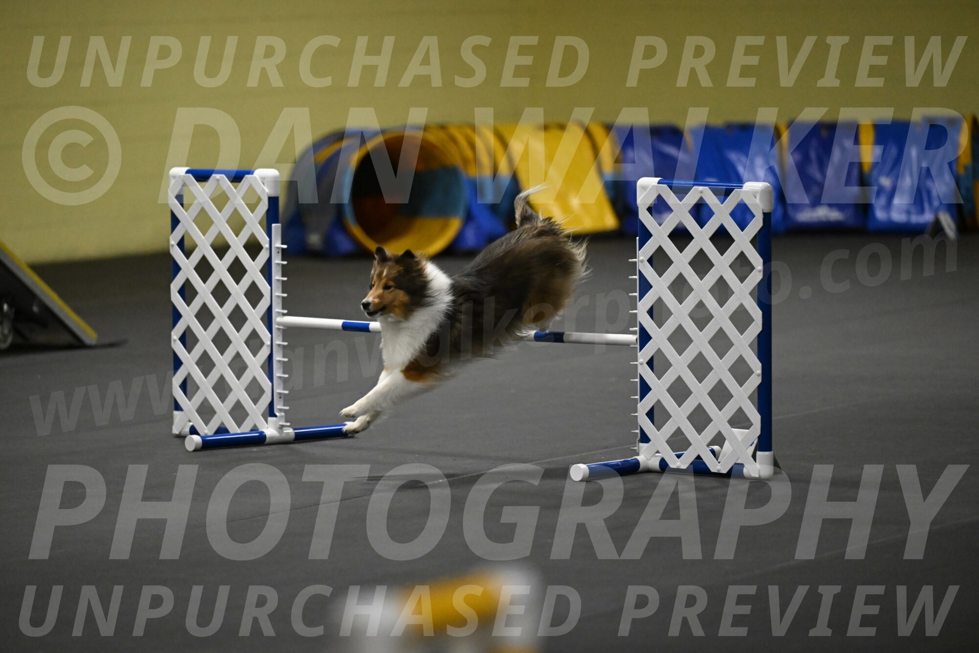 Aurora-Stachurski-02969