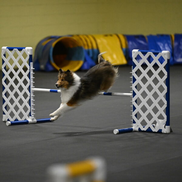 Aurora-Stachurski-02969