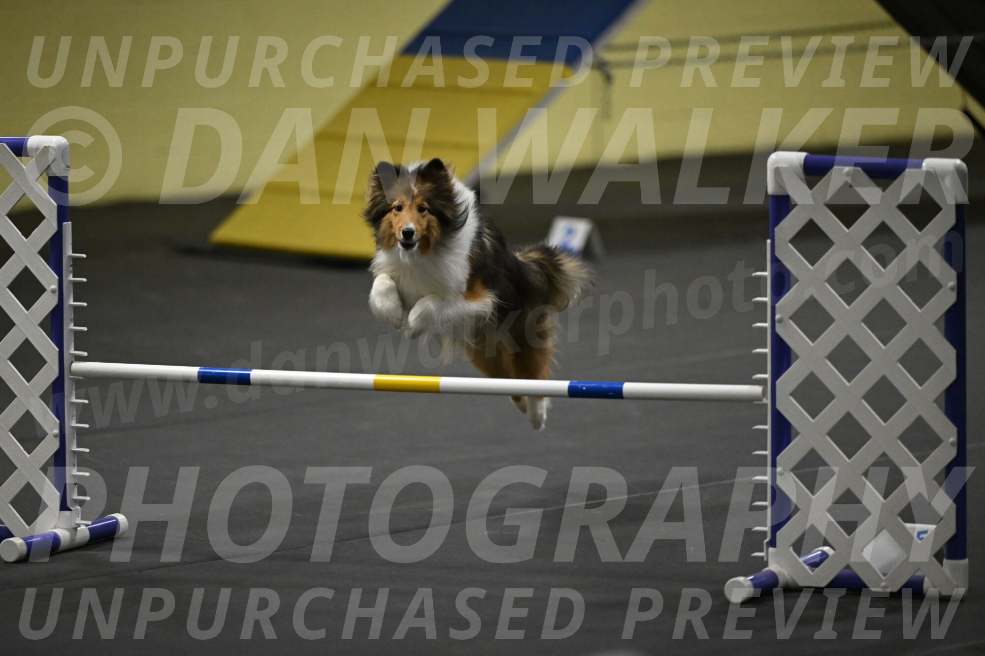 Aurora-Stachurski-02974