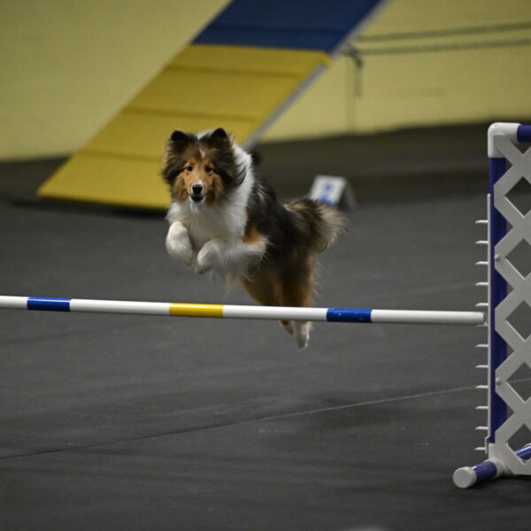 Aurora-Stachurski-02974