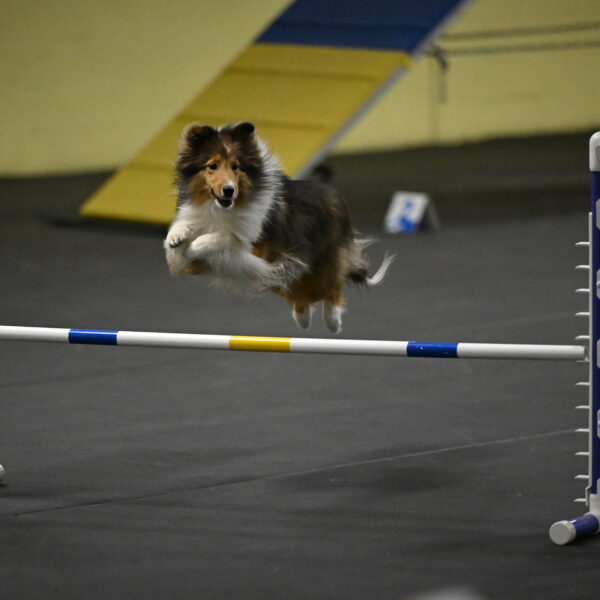 Aurora-Stachurski-02975