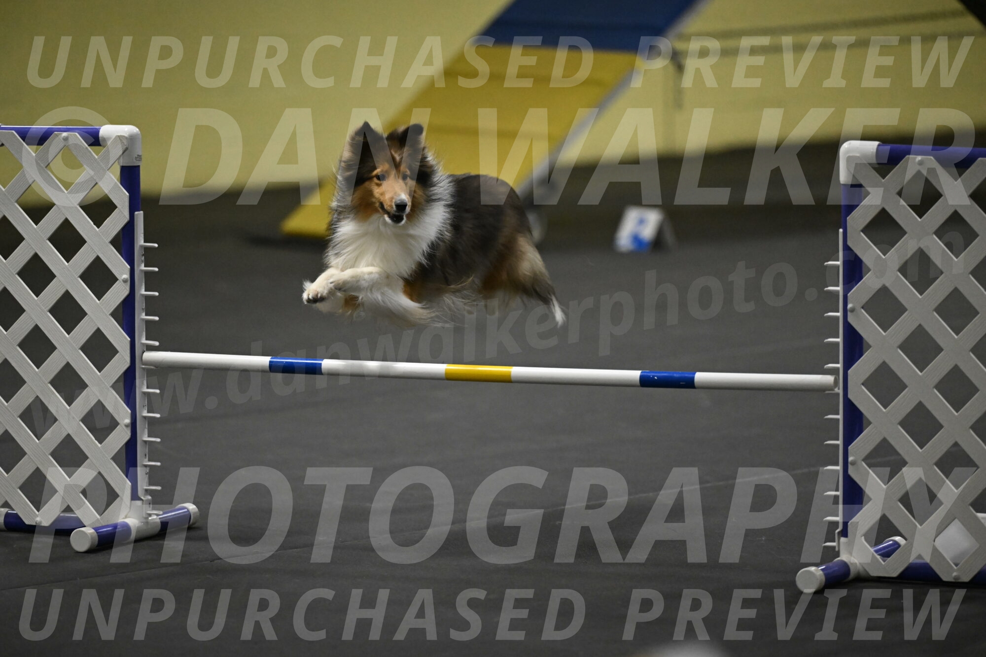 Aurora-Stachurski-02976