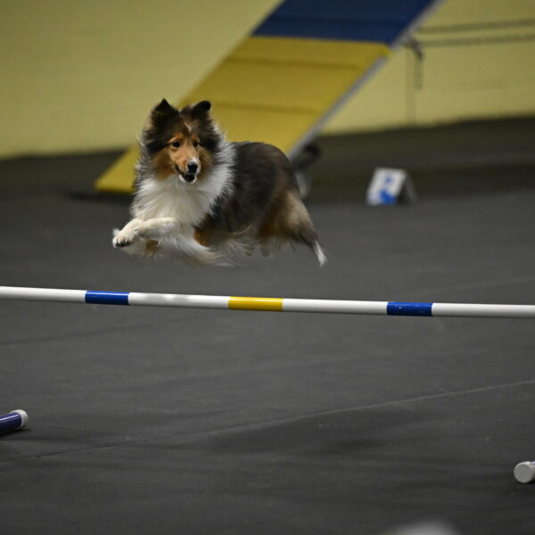 Aurora-Stachurski-02976