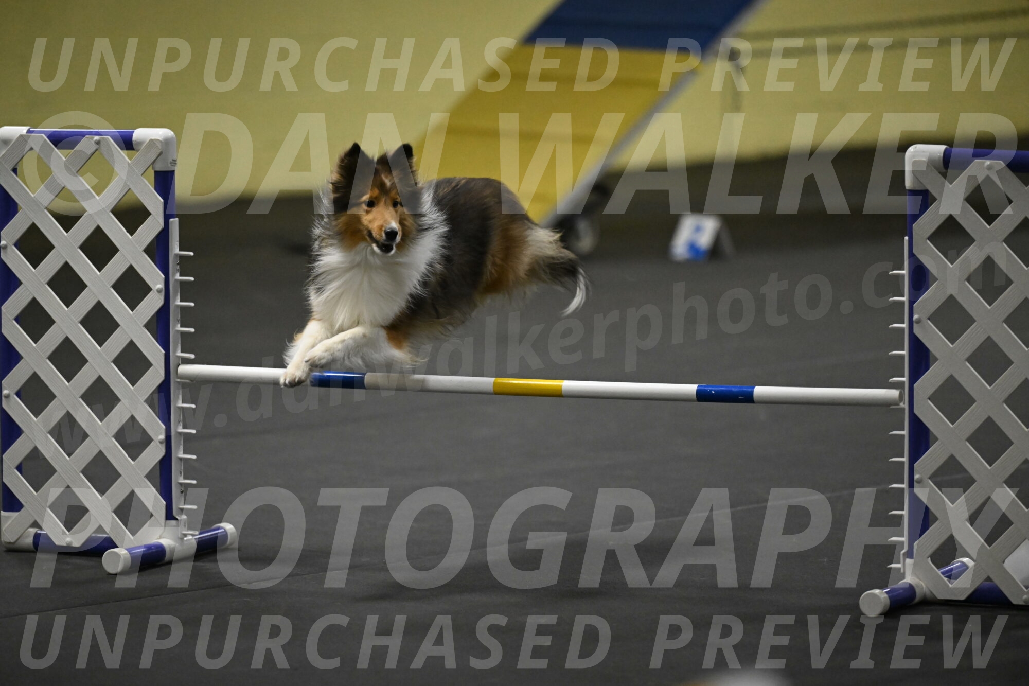 Aurora-Stachurski-02977