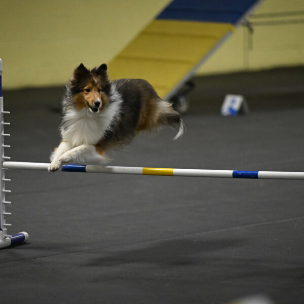 Aurora-Stachurski-02977