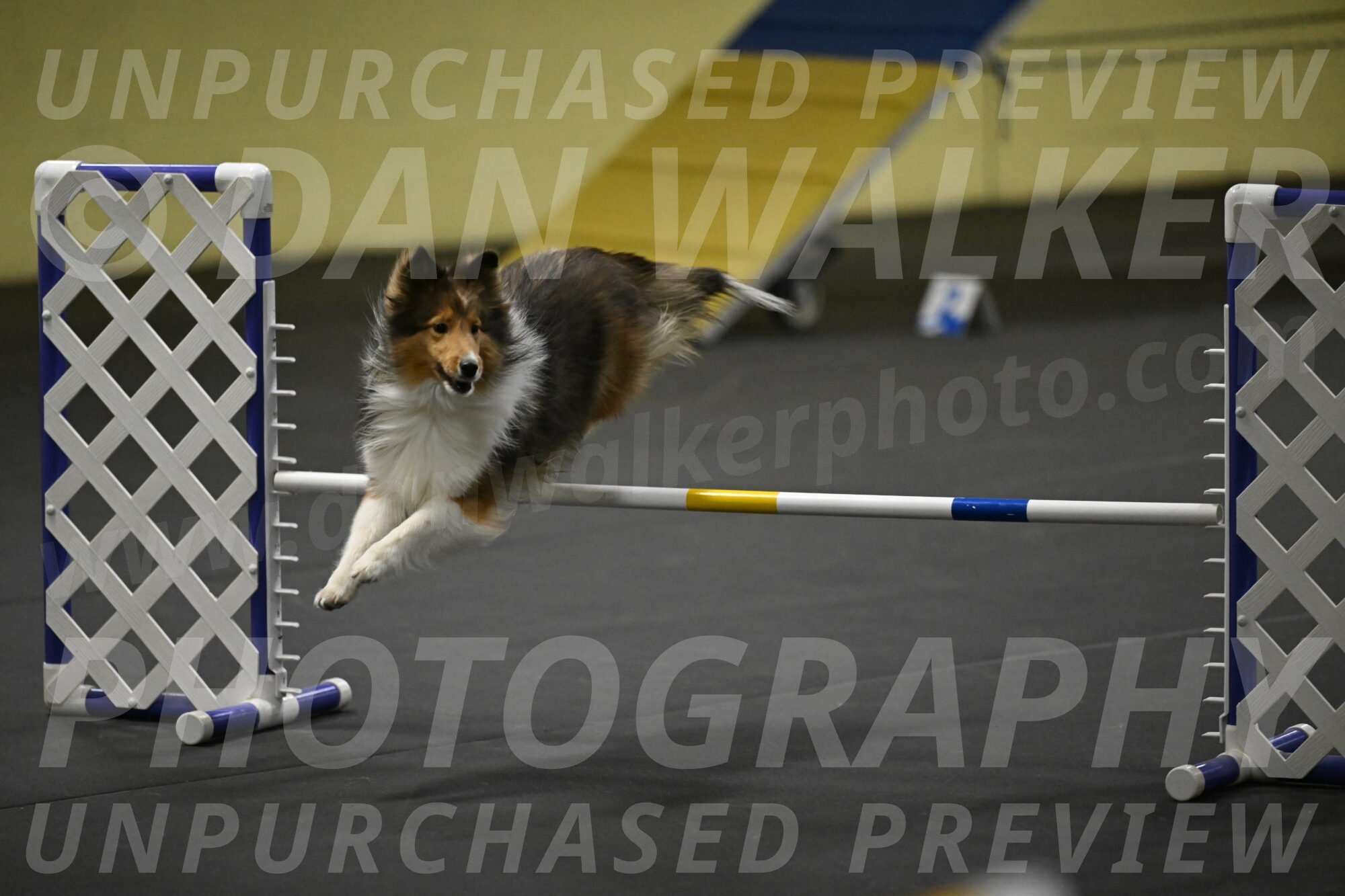 Aurora-Stachurski-02978