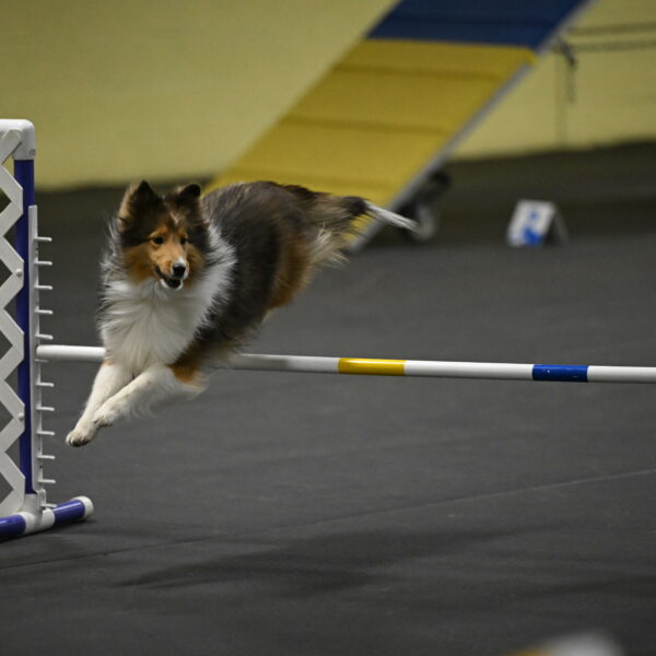 Aurora-Stachurski-02978