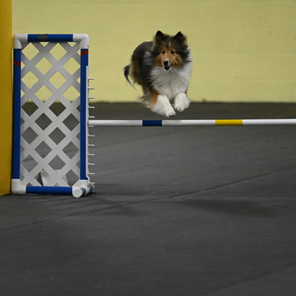 Aurora-Stachurski-02987