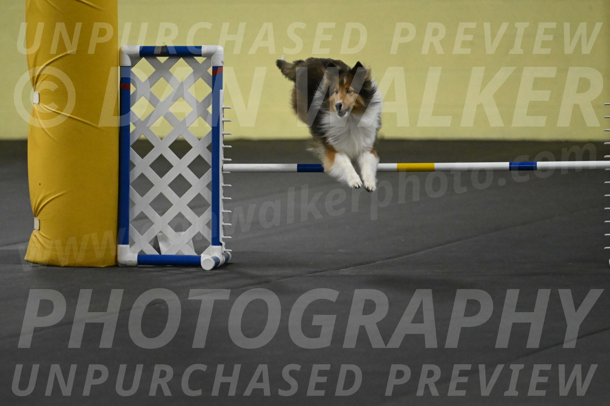 Aurora-Stachurski-02988