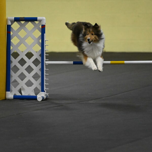 Aurora-Stachurski-02988