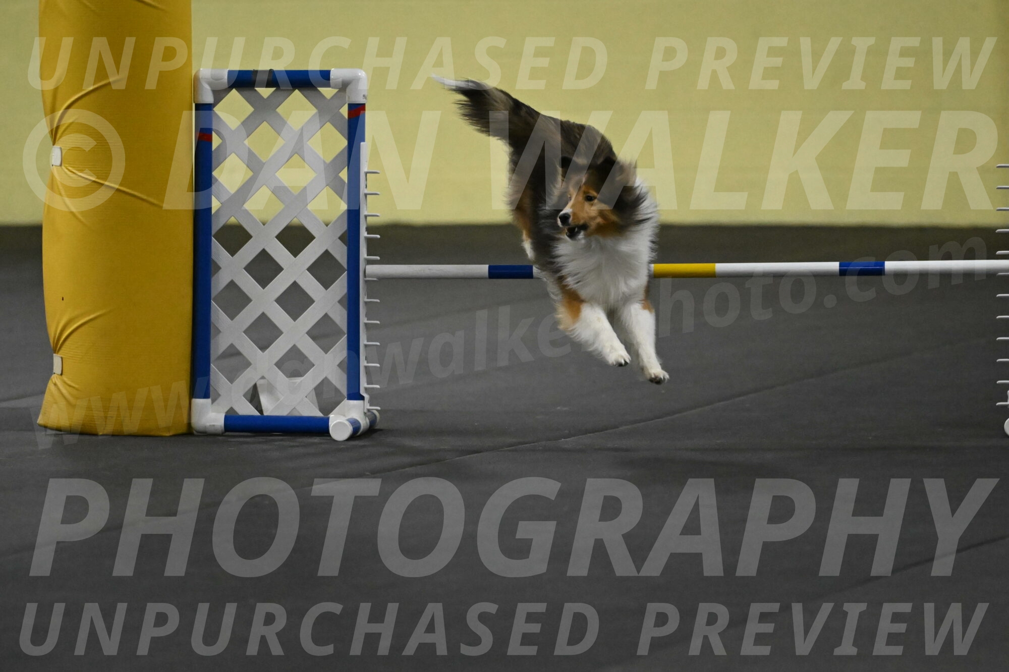 Aurora-Stachurski-02989