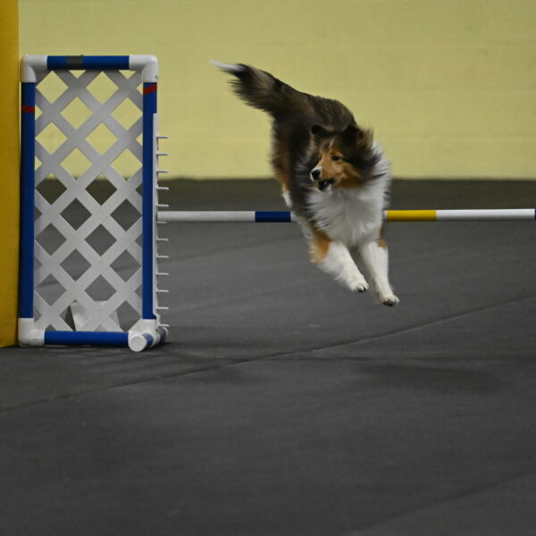 Aurora-Stachurski-02989