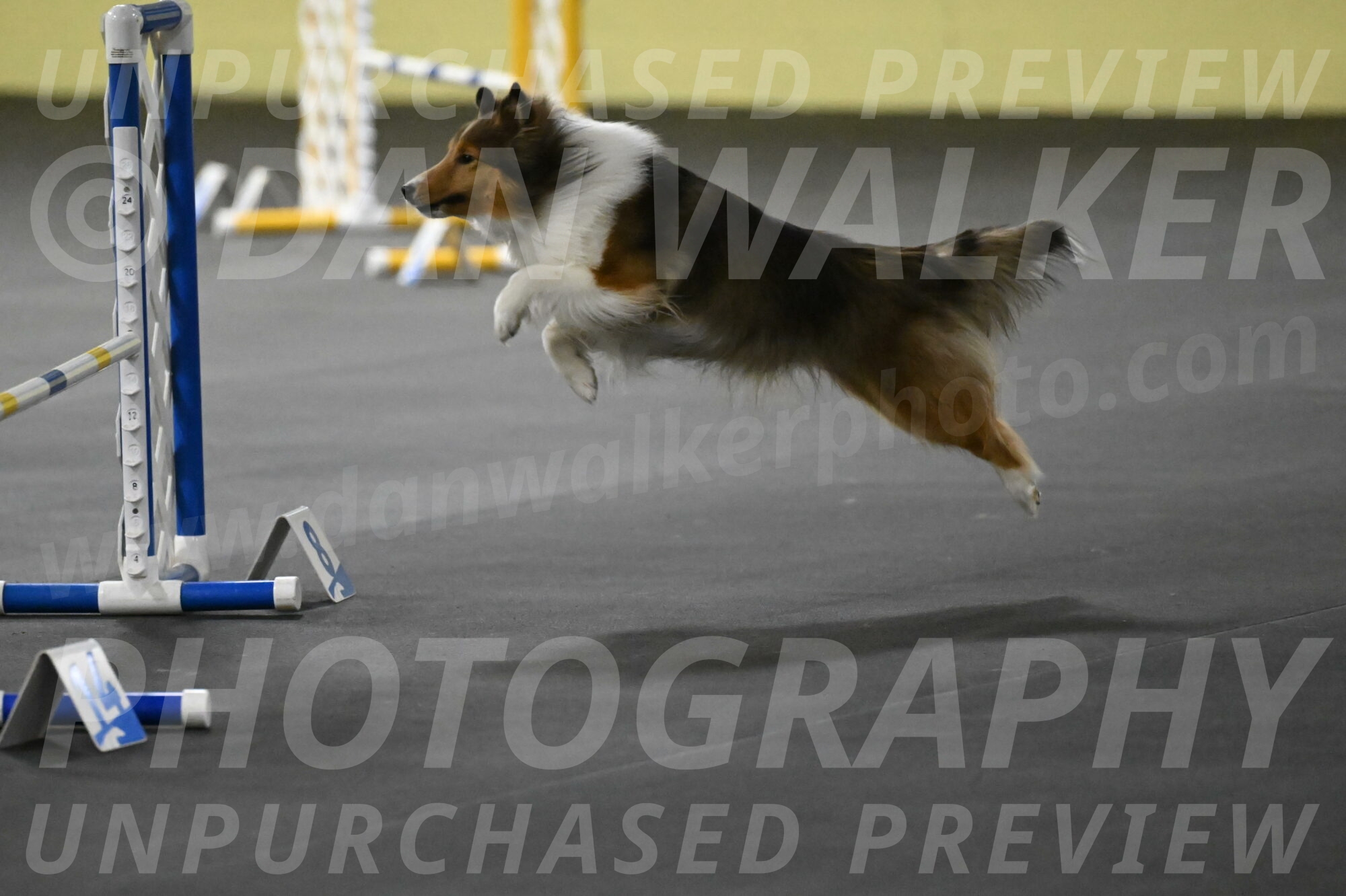 Aurora-Stachurski-02990