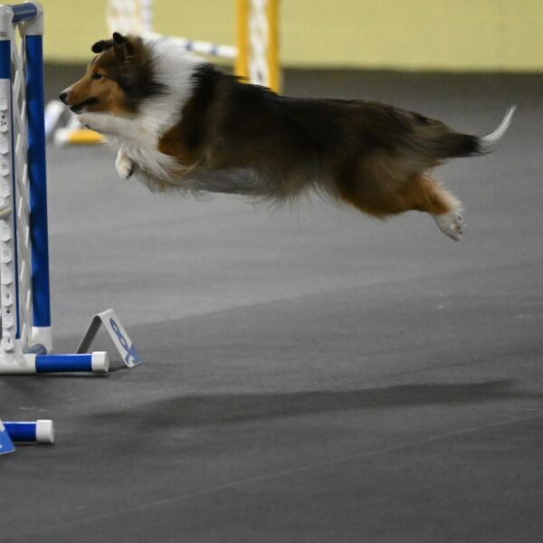 Aurora-Stachurski-02991