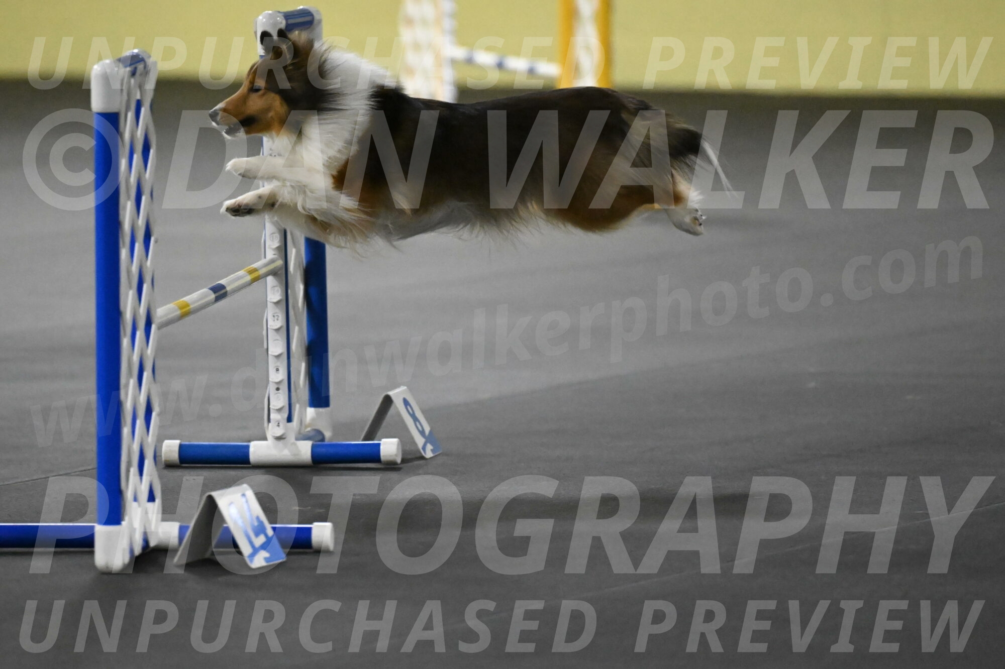 Aurora-Stachurski-02992