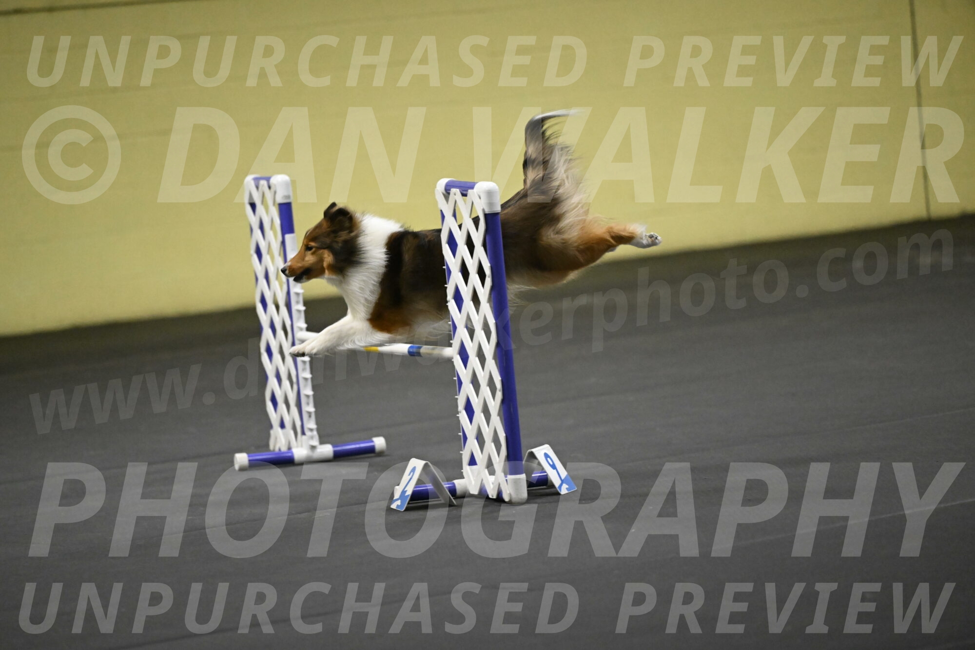 Aurora-Stachurski-02994