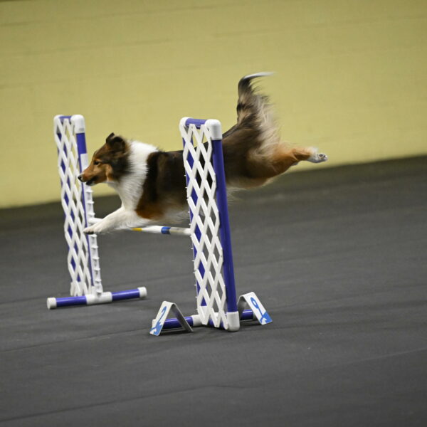 Aurora-Stachurski-02994