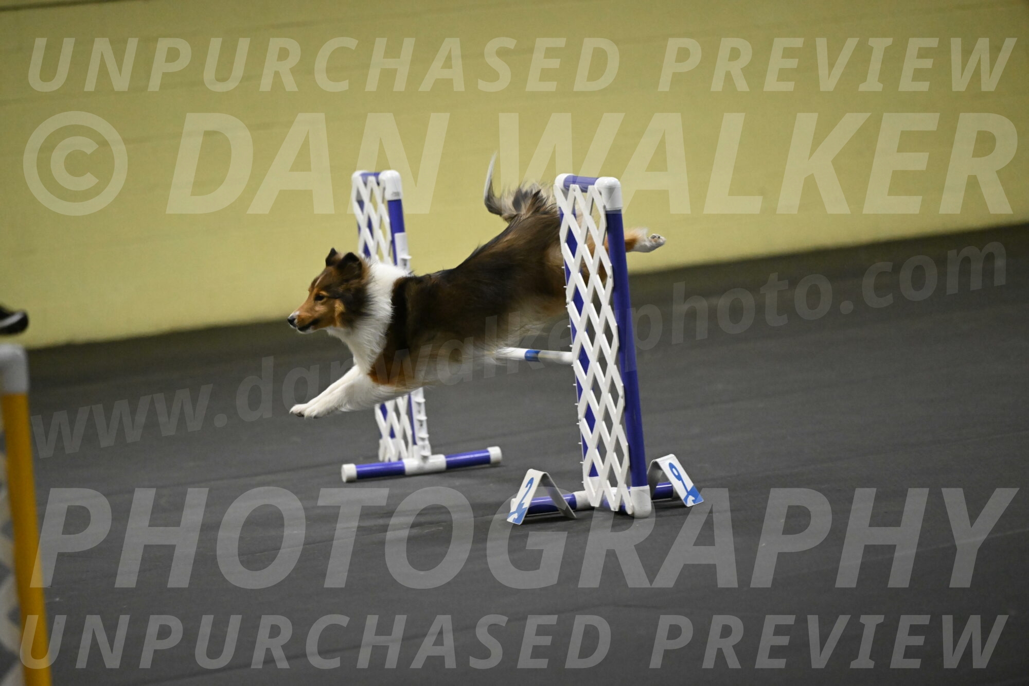 Aurora-Stachurski-02995