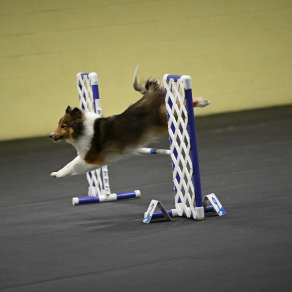 Aurora-Stachurski-02995