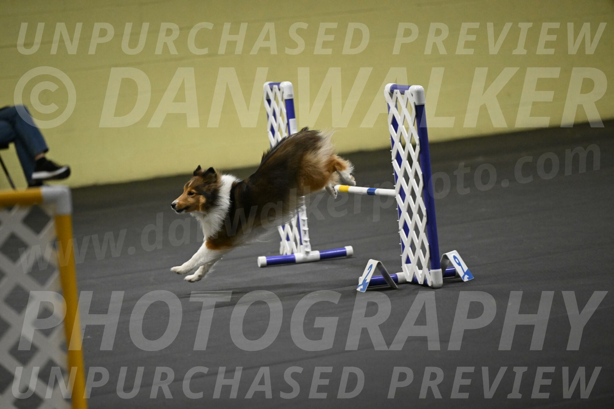 Aurora-Stachurski-02996