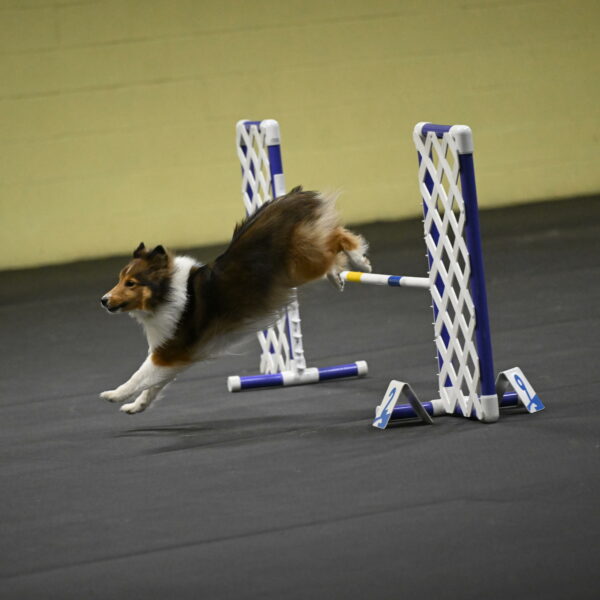 Aurora-Stachurski-02996