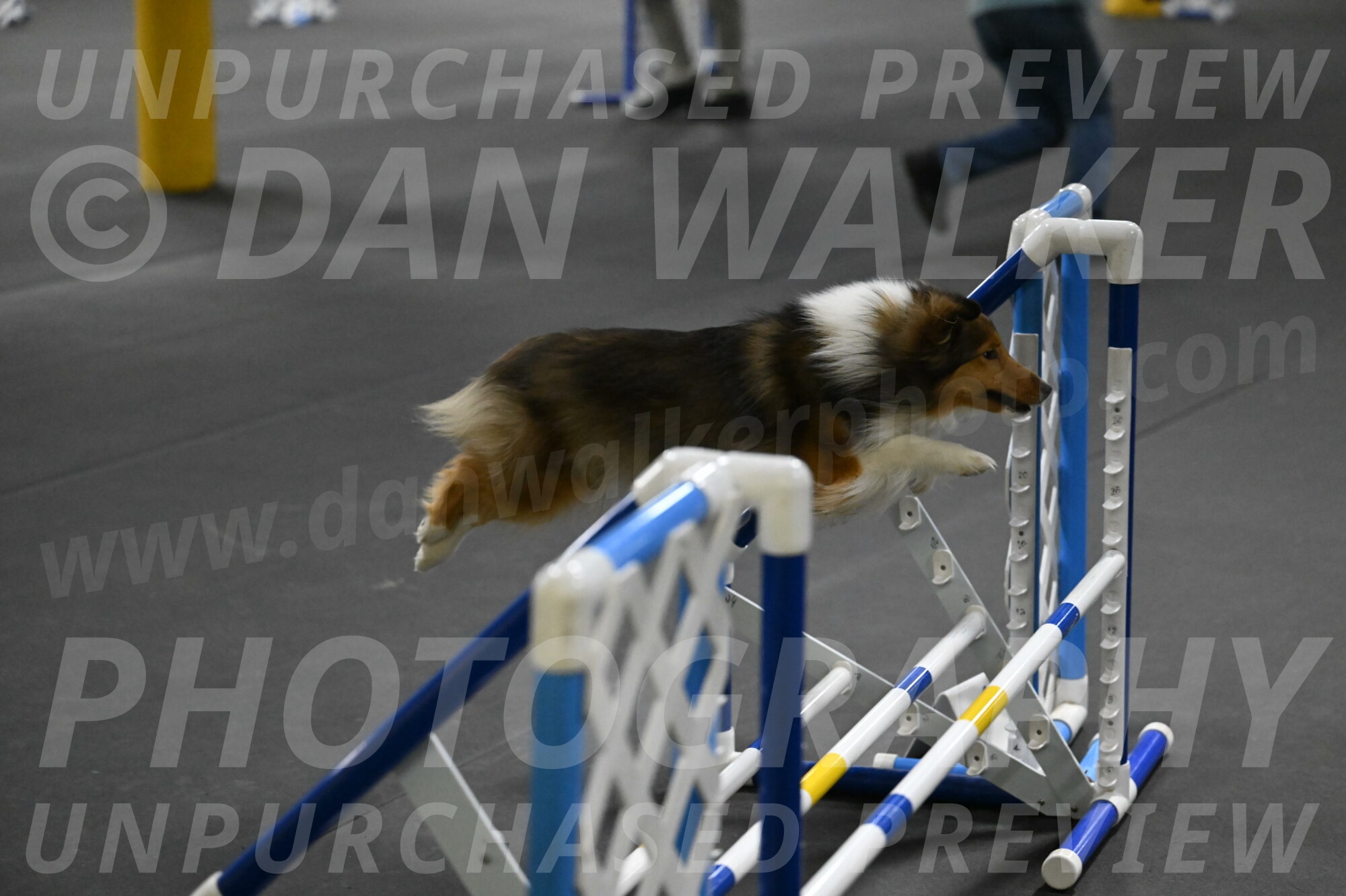 Aurora-Stachurski-03006