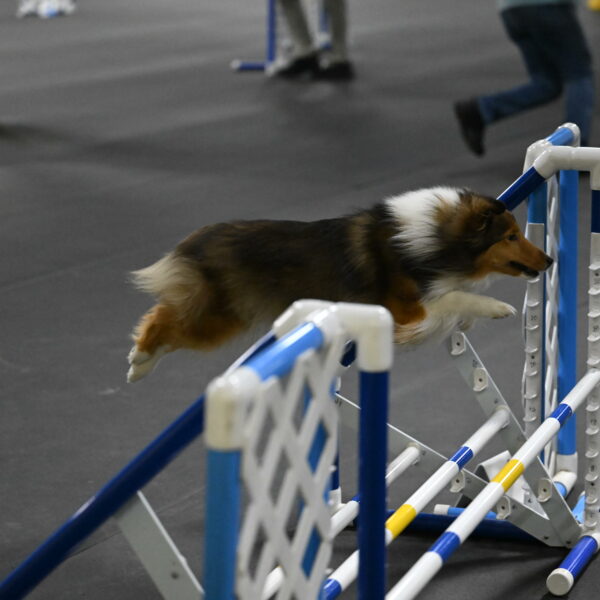 Aurora-Stachurski-03006