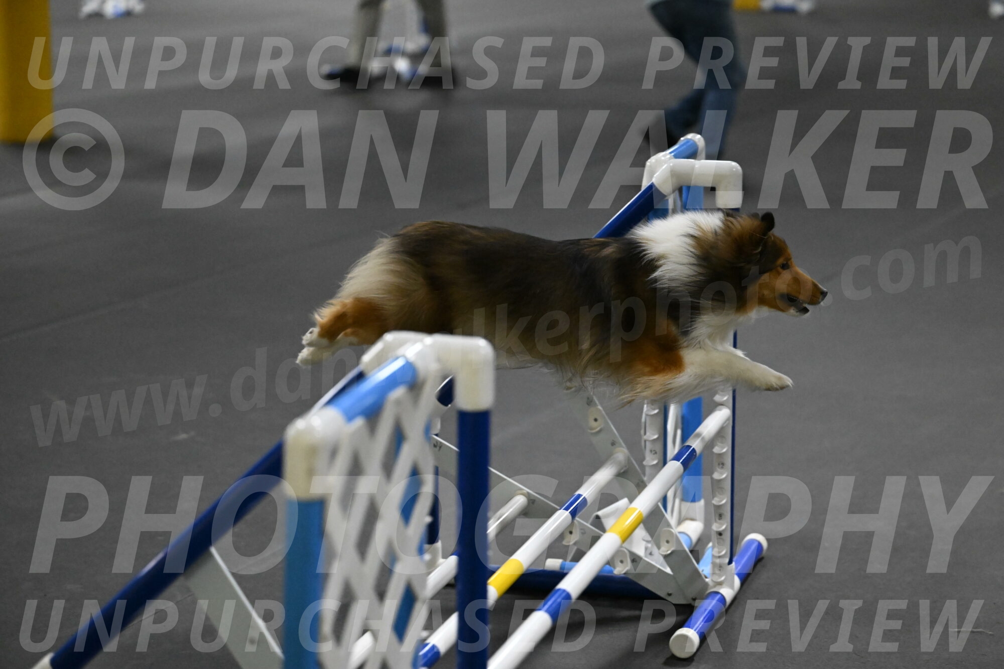 Aurora-Stachurski-03007