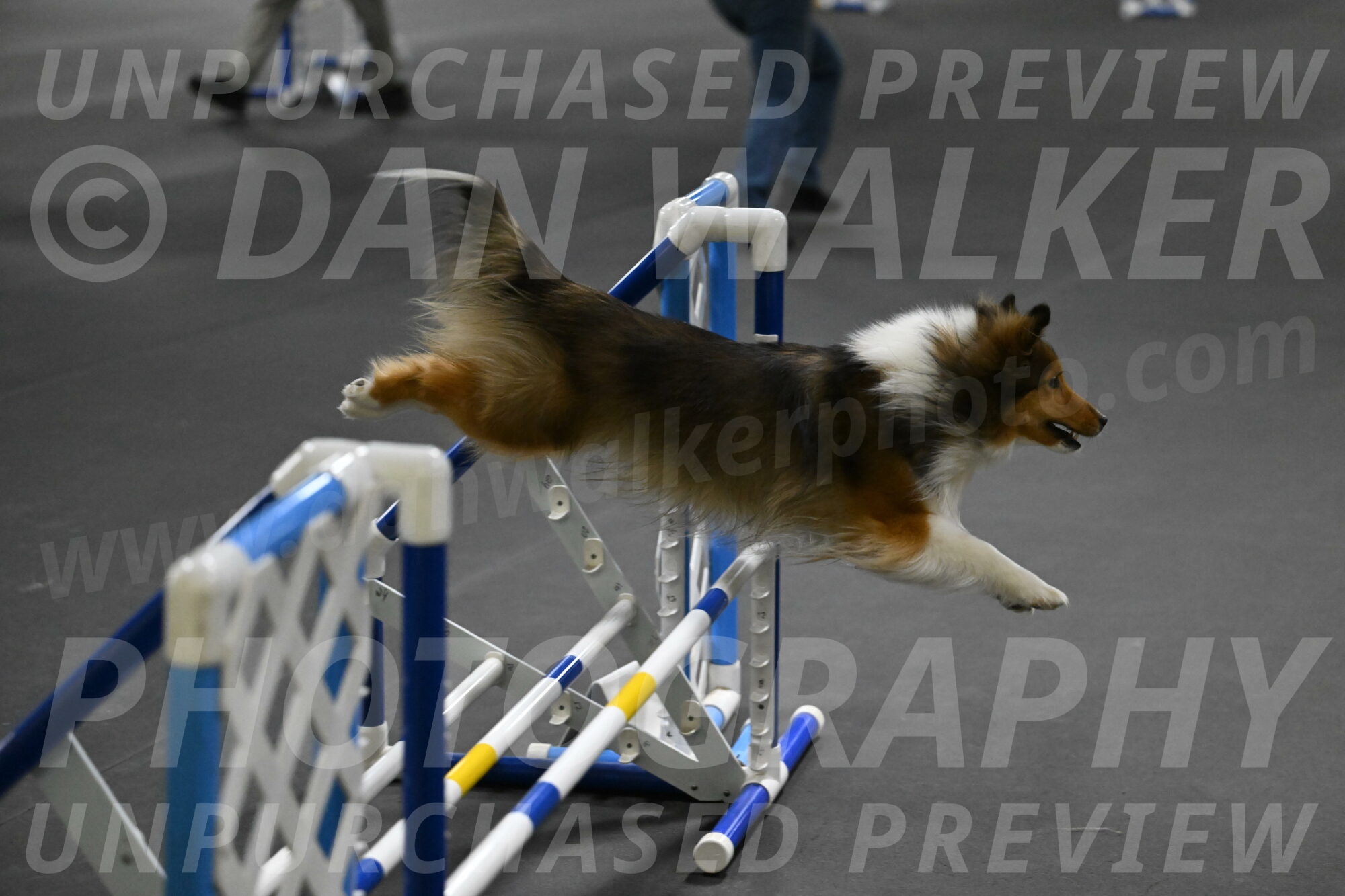 Aurora-Stachurski-03008