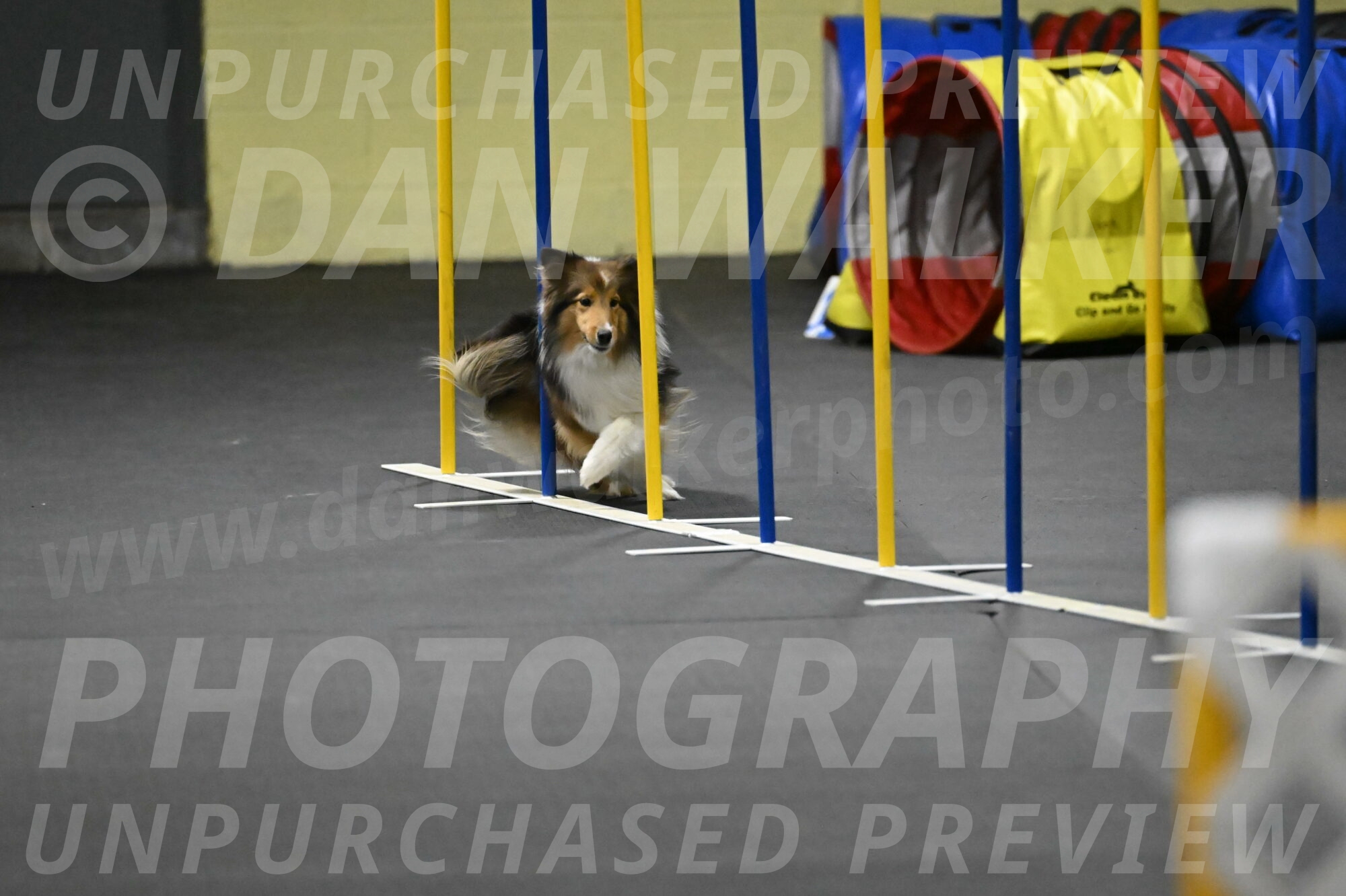 Aurora-Stachurski-03012